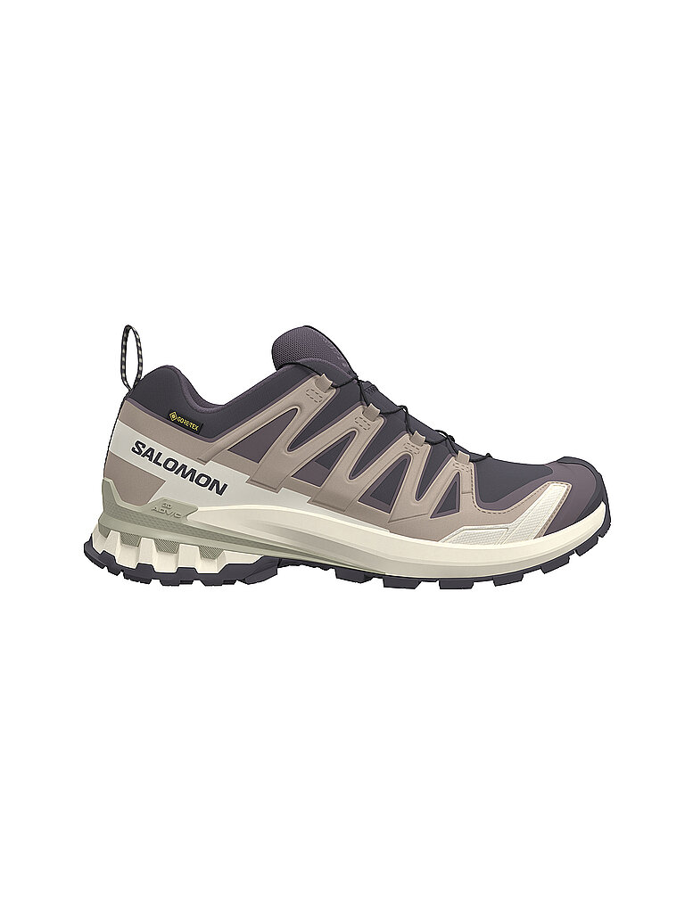 SALOMON Damen Multifunktionsschuhe XA PRO 3D V9 GTX lila | 41 1/3