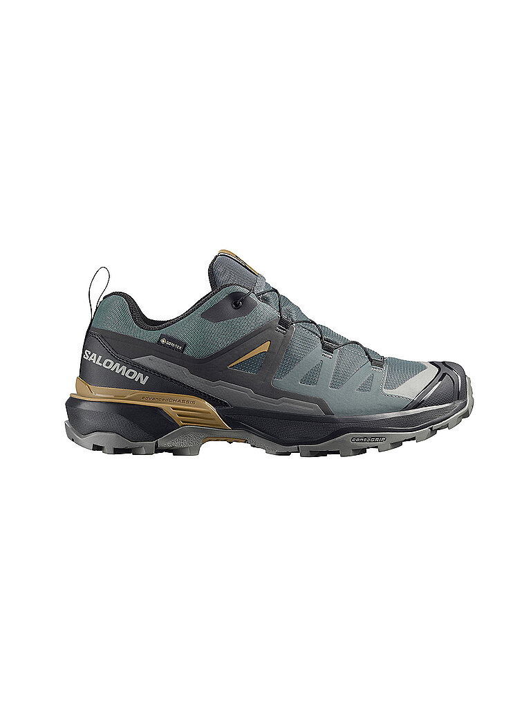 SALOMON Herren Multifunktionsschuhe X ULTRA 360 GTX grau | 45 1/3