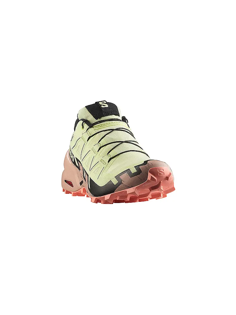 SALOMON | Damen Traillaufschuhe Speedcross 6 GORE-TEX | 