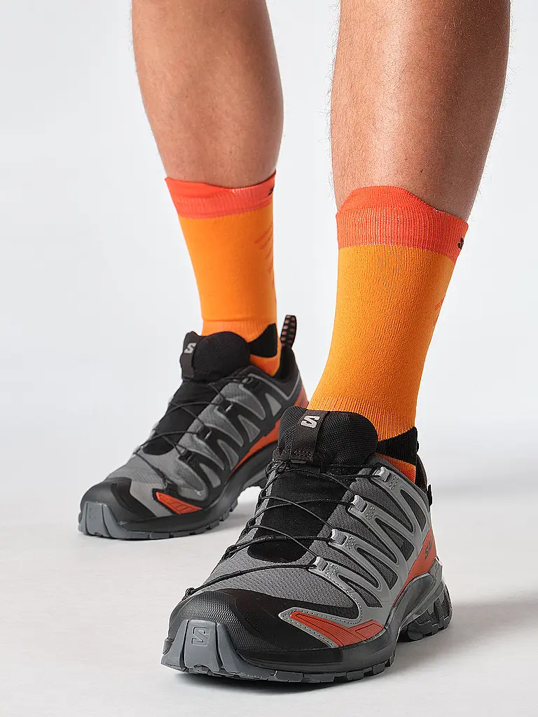 SALOMON | Herren Multifunktionsschuhe XA Pro 3D V9 GTX | grau
