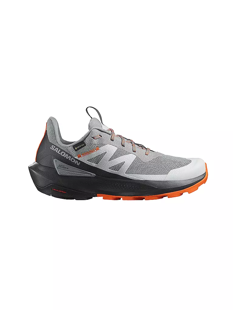 SALOMON | Herren Speedhikingschuhe Elixir Activ GTX | grau