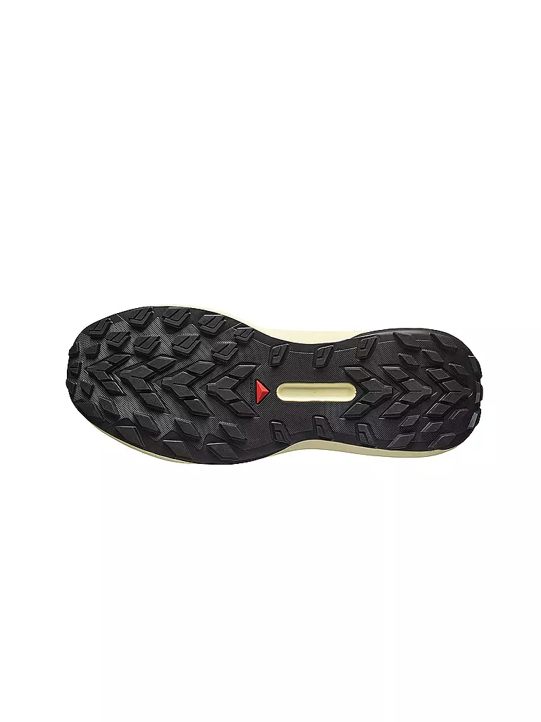 SALOMON | Herren Traillaufschuhe Genesis | bunt