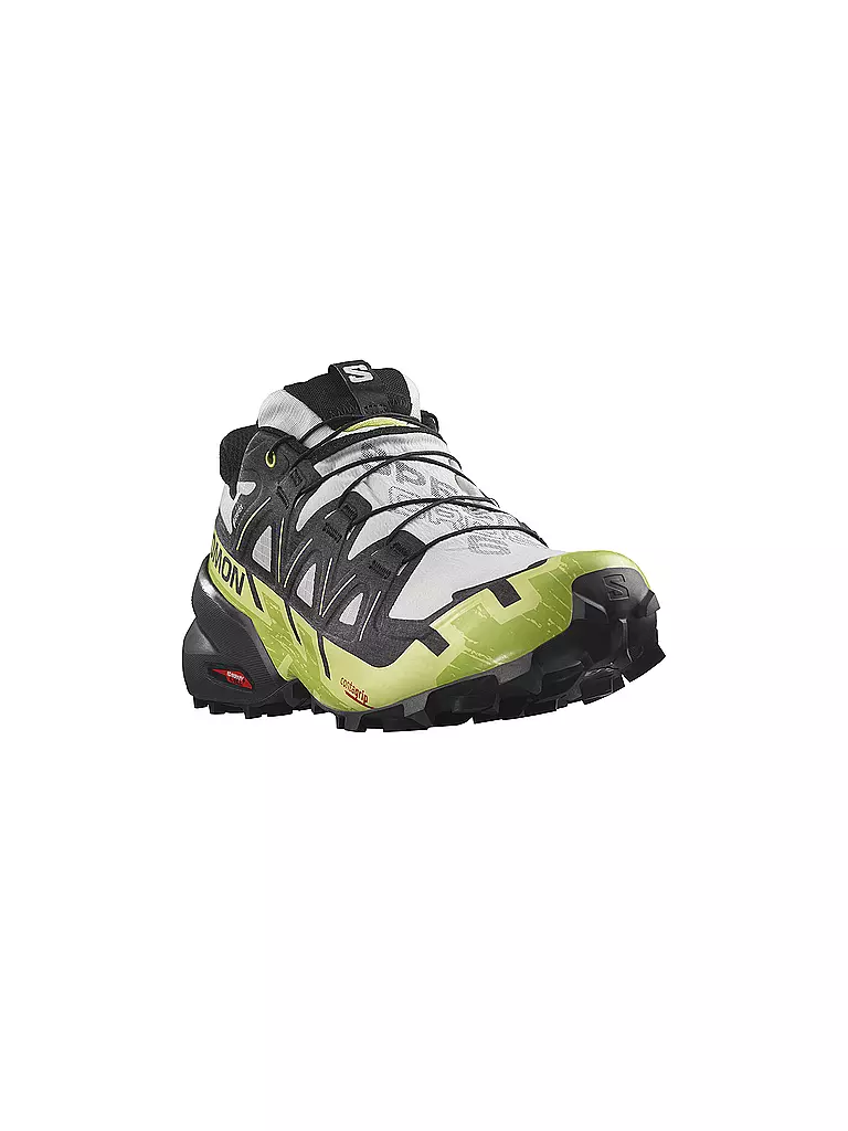 SALOMON | Herren Traillaufschuhe Speedcross 6 GTX | schwarz