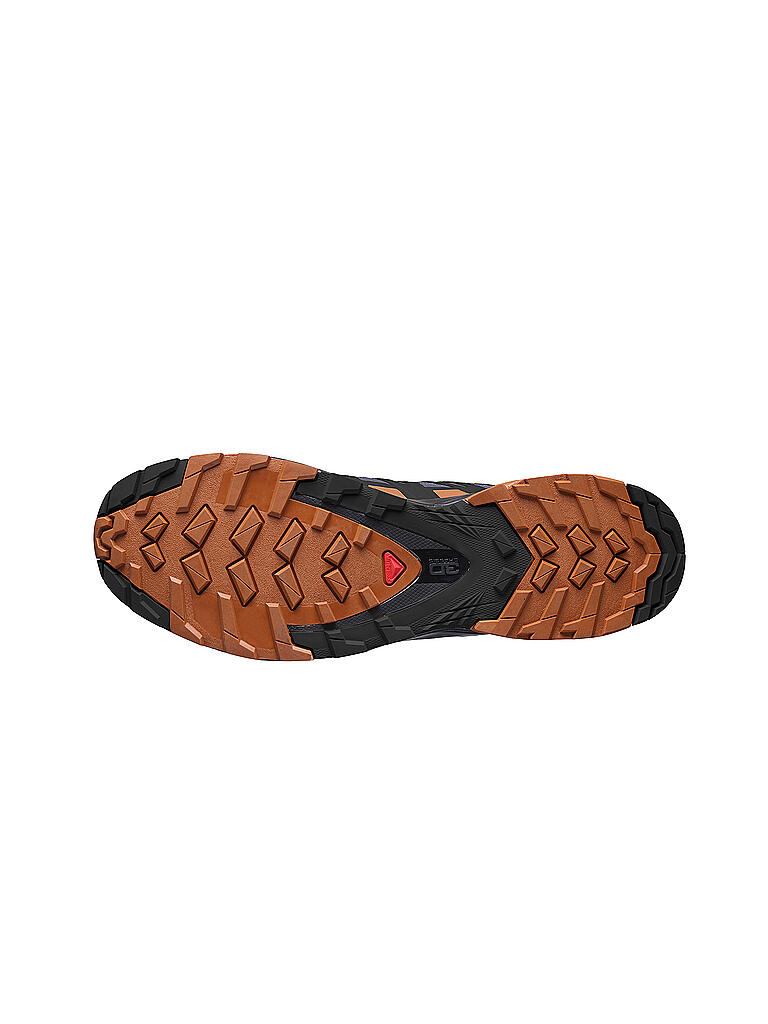 SALOMON | Herren Traillaufschuhe XA Pro 3D V8 GTX | schwarz