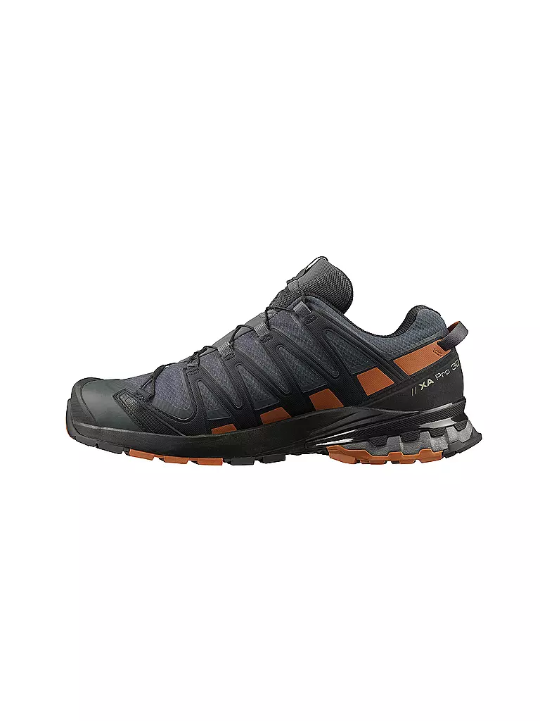 SALOMON | Herren Traillaufschuhe XA Pro 3D V8 GTX | schwarz