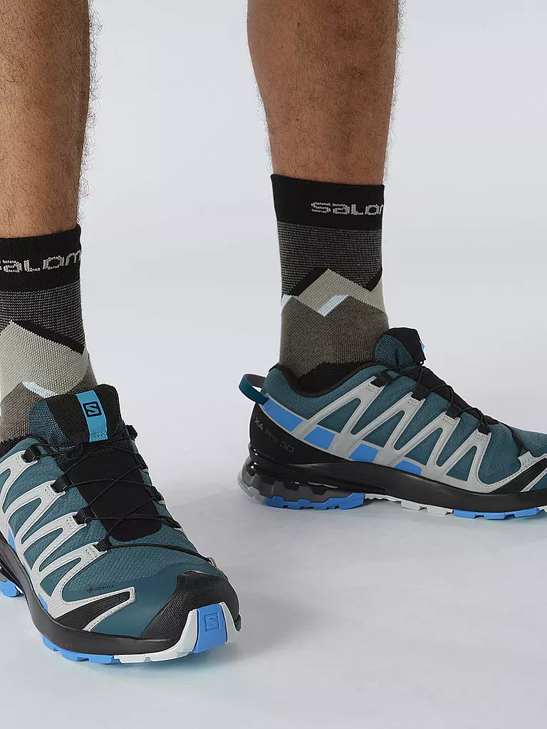 SALOMON | Herren Traillaufschuhe XA Pro 3D V8 GTX | blau