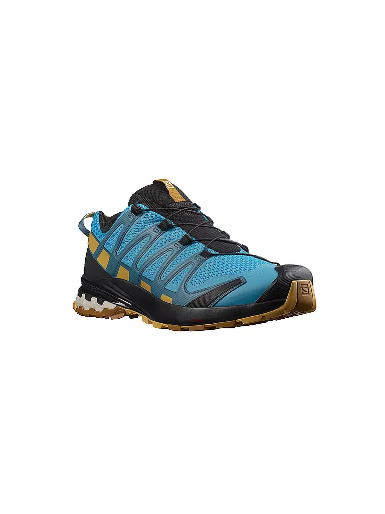 SALOMON | Herren Traillaufschuhe XA Pro 3D V8 | blau