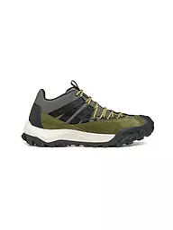 SCARPA | Herren Freizeitschuhe Rove GTX | dunkelgrün