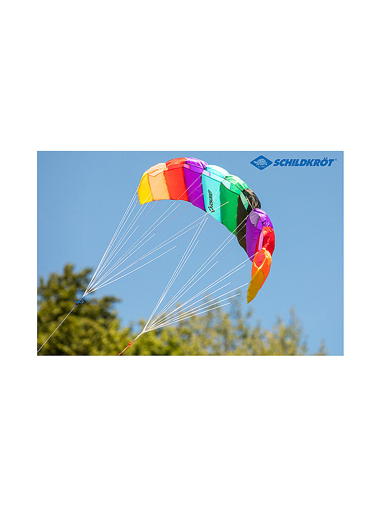 SCHILDKRÖT | Dual Line Sport Kite 1.3 | bunt