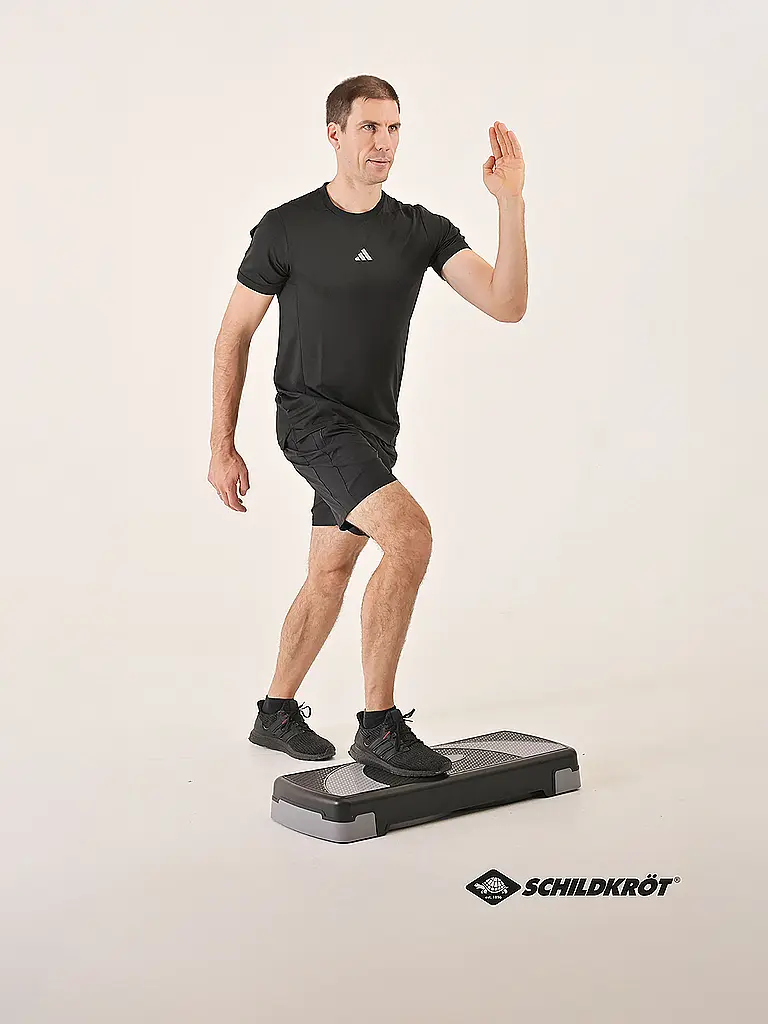 SCHILDKRÖT | Fitness Stepper | schwarz