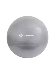 SCHILDKRÖT | Gymnastikball 75cm | silber