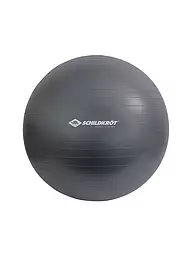 SCHILDKRÖT | Gymnastikball 75cm | grau