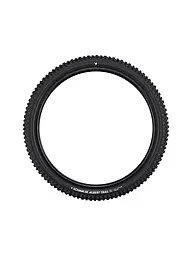 SCHWALBE | Fahrradreifen Albert Pro Radial 63-622 Trail Soft | schwarz