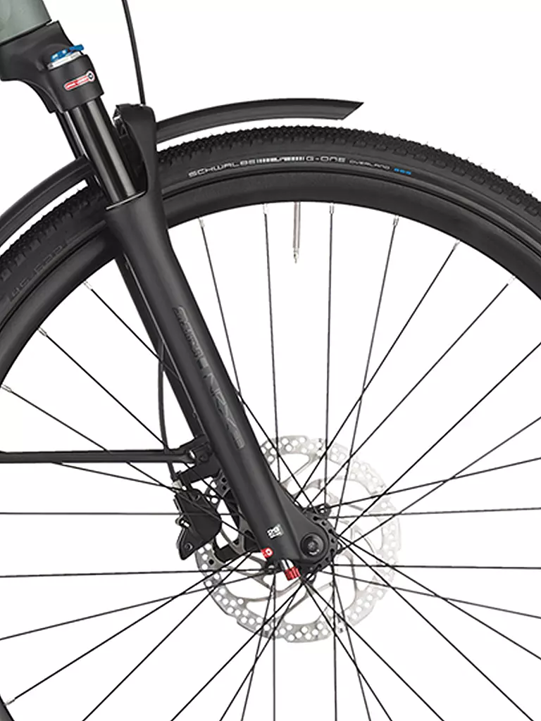 SCOTT | Damen E--Urbanbike Passage 30 Slope 29" | hellblau