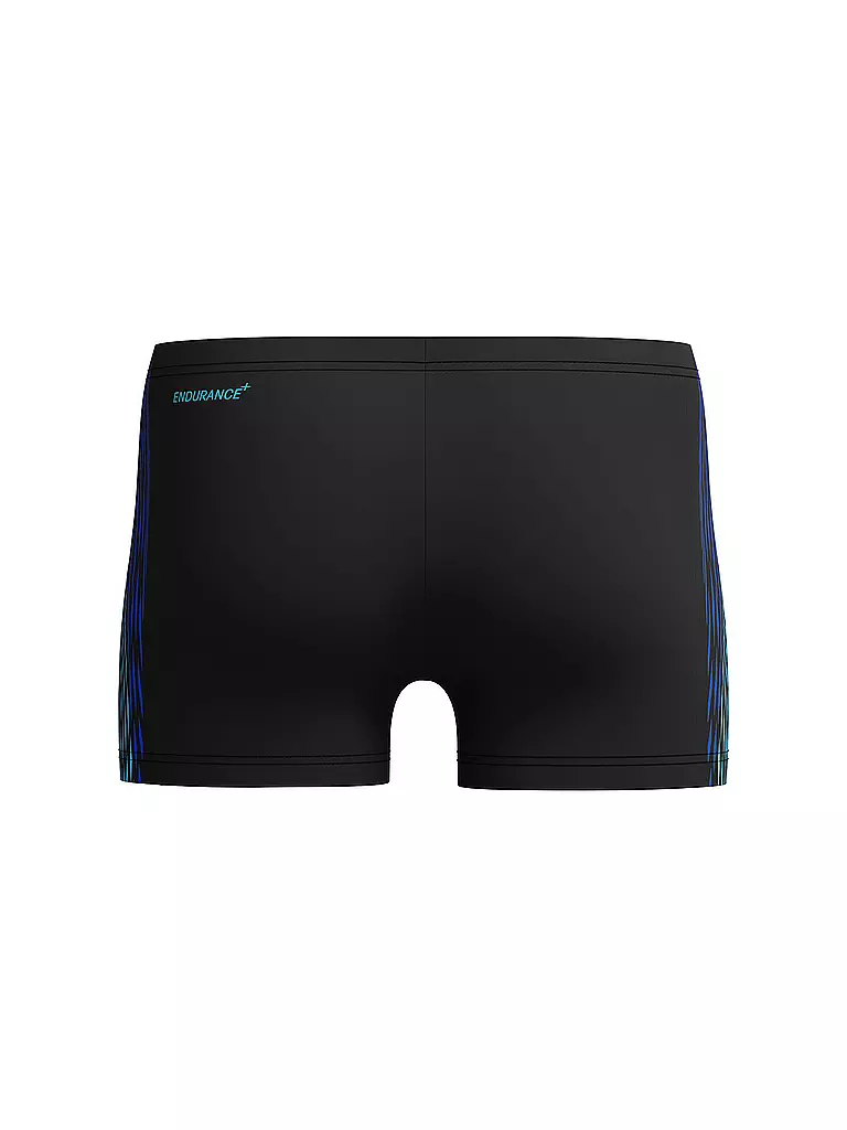 SPEEDO | Herren Beinbadehose Tech Panel | schwarz