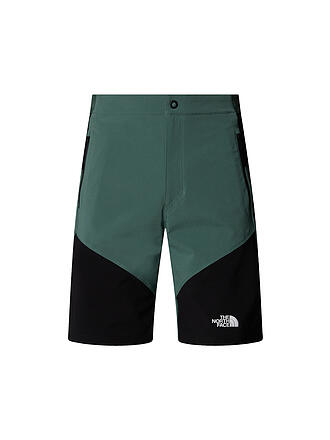 THE NORTH FACE | Herren Short Felik Slim Tapered
