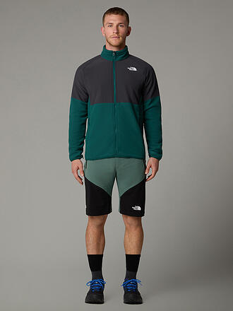 THE NORTH FACE | Herren Short Felik Slim Tapered