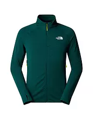 THE NORTH FACE | Herren Fleecejacke Bolt Polartec | dunkelgrün