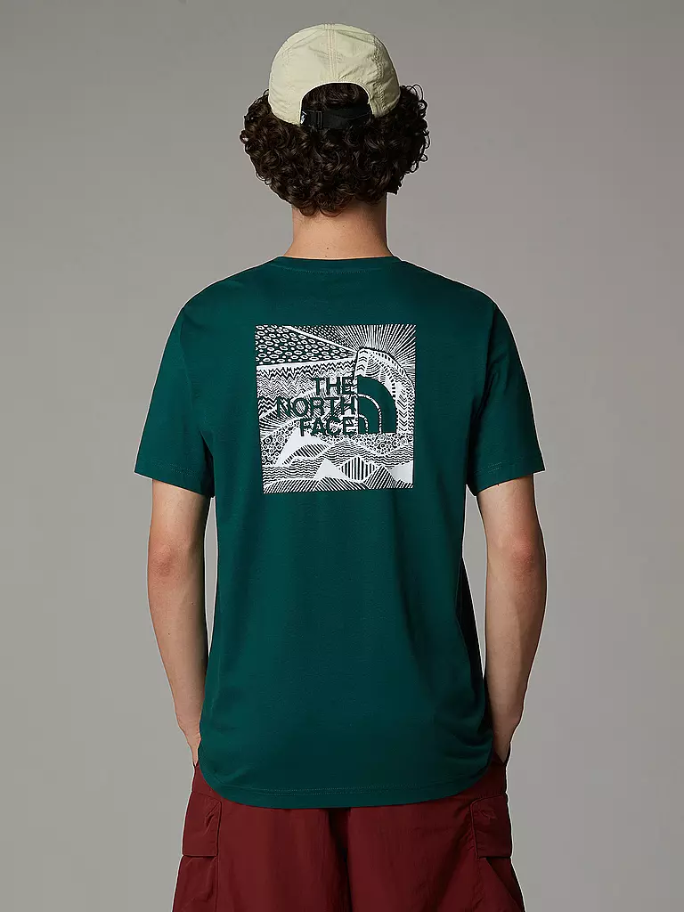 THE NORTH FACE | Herren Funktionsshirt Redbox Celebration | grau