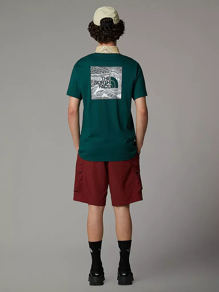 THE NORTH FACE | Herren Funktionsshirt Redbox Celebration | grau