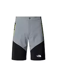 THE NORTH FACE | Herren Short Felik Slim Tapered | grau