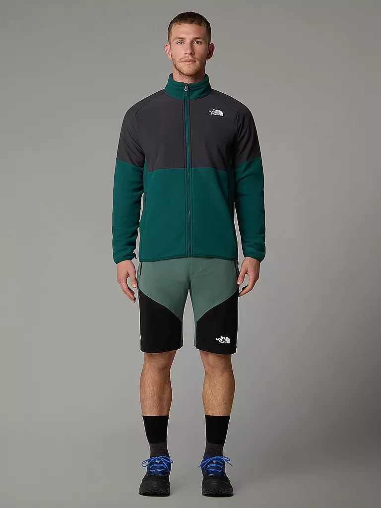 THE NORTH FACE | Herren Short Felik Slim Tapered | petrol