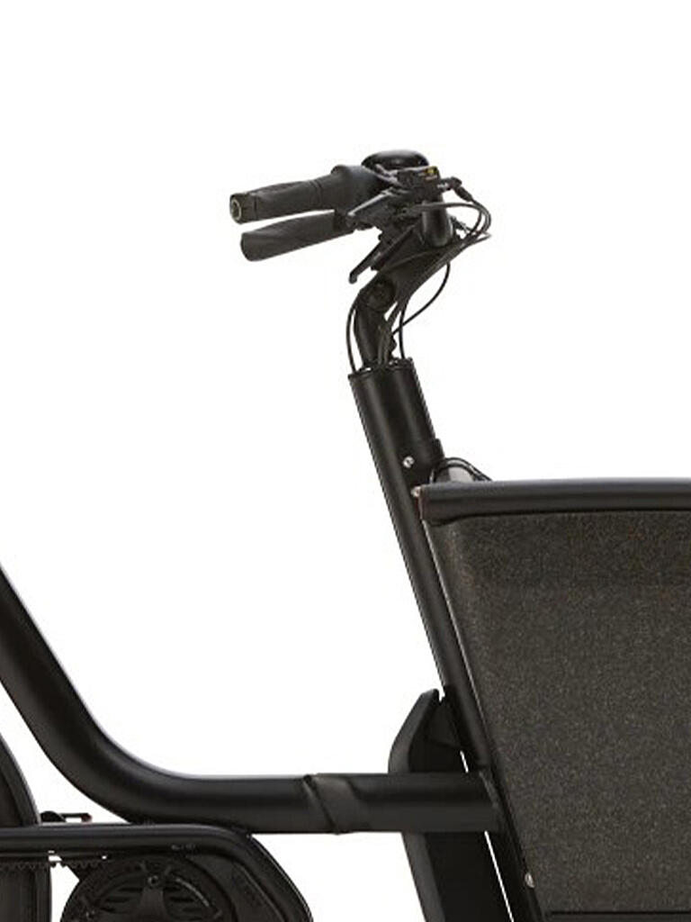 URBAN ARROW | E-Lastenrad Family Performance Line Essential 2022 | schwarz