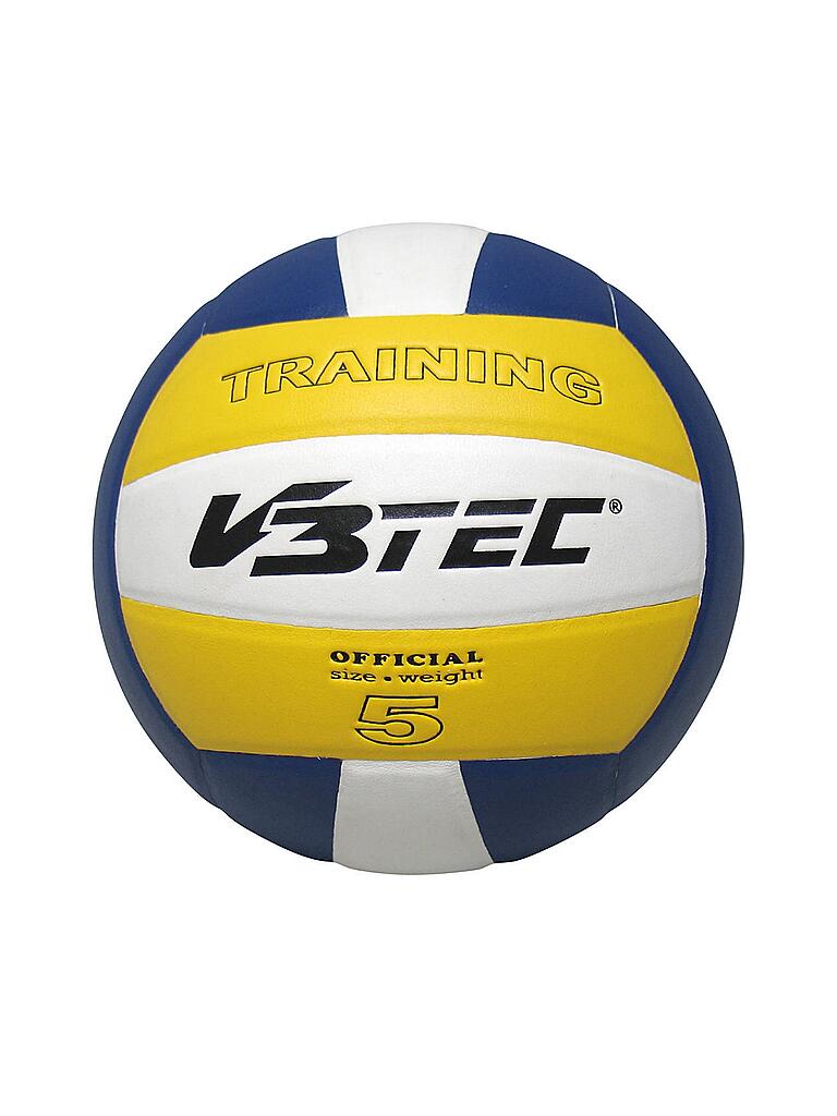 V3Tec Palm Beach Beach volley ball 
