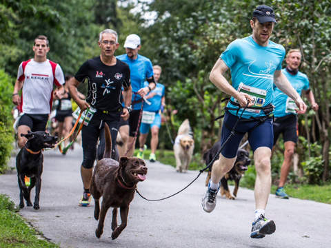 Kärnten Läuft Dogging August 2014 Kärnten Läuft Dogging August 2014