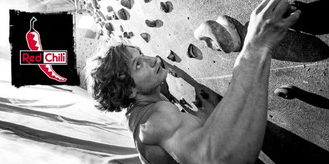 Gigasport_Markenbanner_960x480px_HW_Edelrid_2019