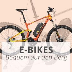 gigasport e bike