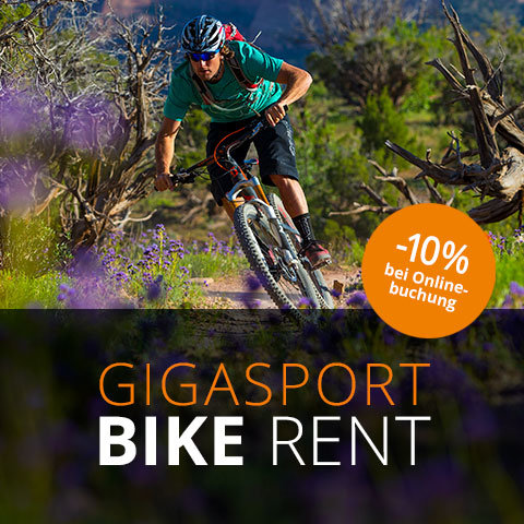 480×480-bike-rent-2019-final 480×480-bike-rent-2019-final