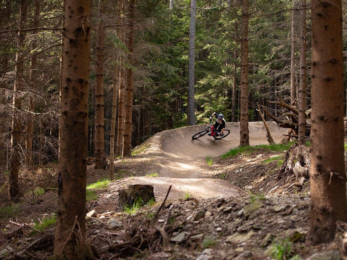 1120×840-wexl-trails-2 1120×840-wexl-trails-2