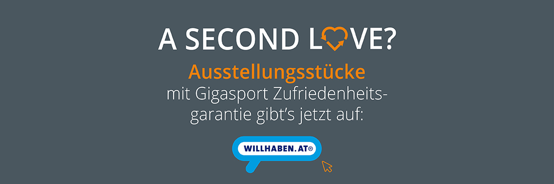 1120×373-willhaben-blog-fs21