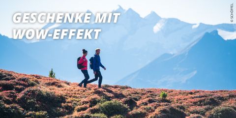 960×480-geschenkeshop-wow-effekt-fs22