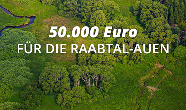 370x220_K&Ö_Blogbeitrag_Umweltprojekt