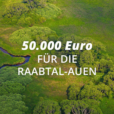 480x480_K&Ö_Blogbeitrag_Umweltprojekt