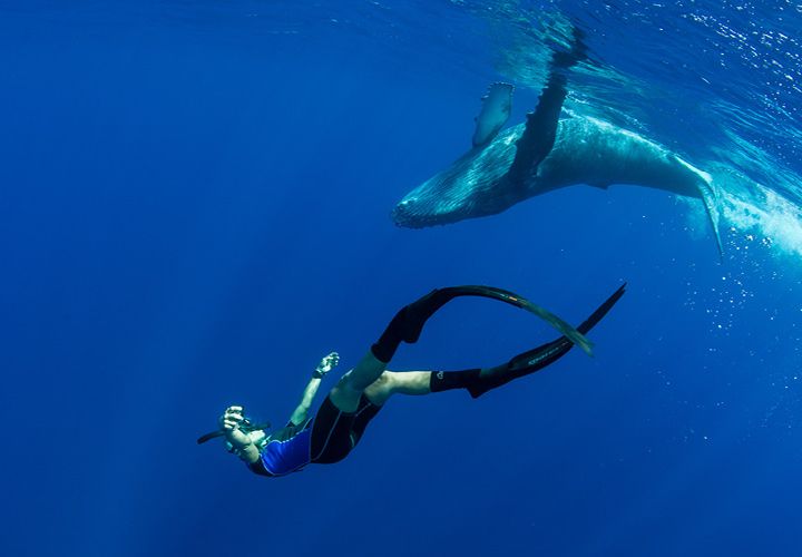 Blog-Ocean-Film-Tour-2023_750x500_1