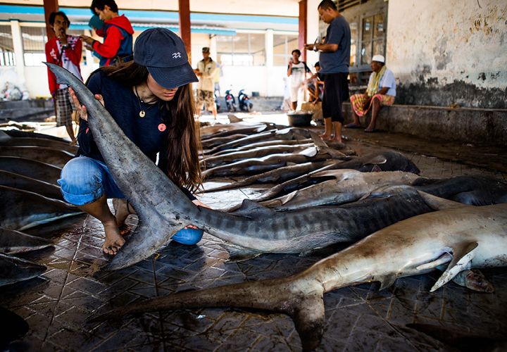 Blog-Ocean-Film-Tour-2023_750x500_3