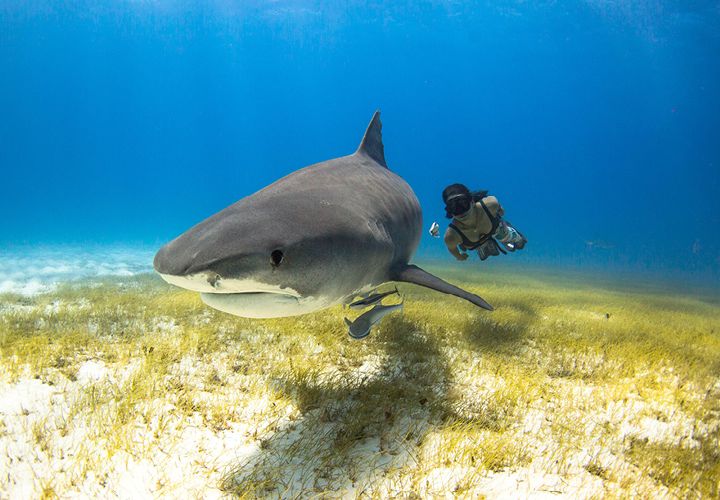Blog-Ocean-Film-Tour-2023_750x500_4